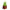 Sacred Tulsi Grow Bag