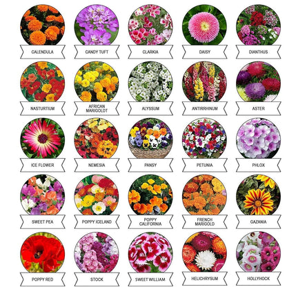 Seeds 20 Varieties Of Flower Combo (1 Pkt Varieties) - Garden