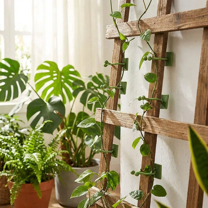 Best self-adhesive plant climbing wall fixture clips - supports | 2026 | fast shipping