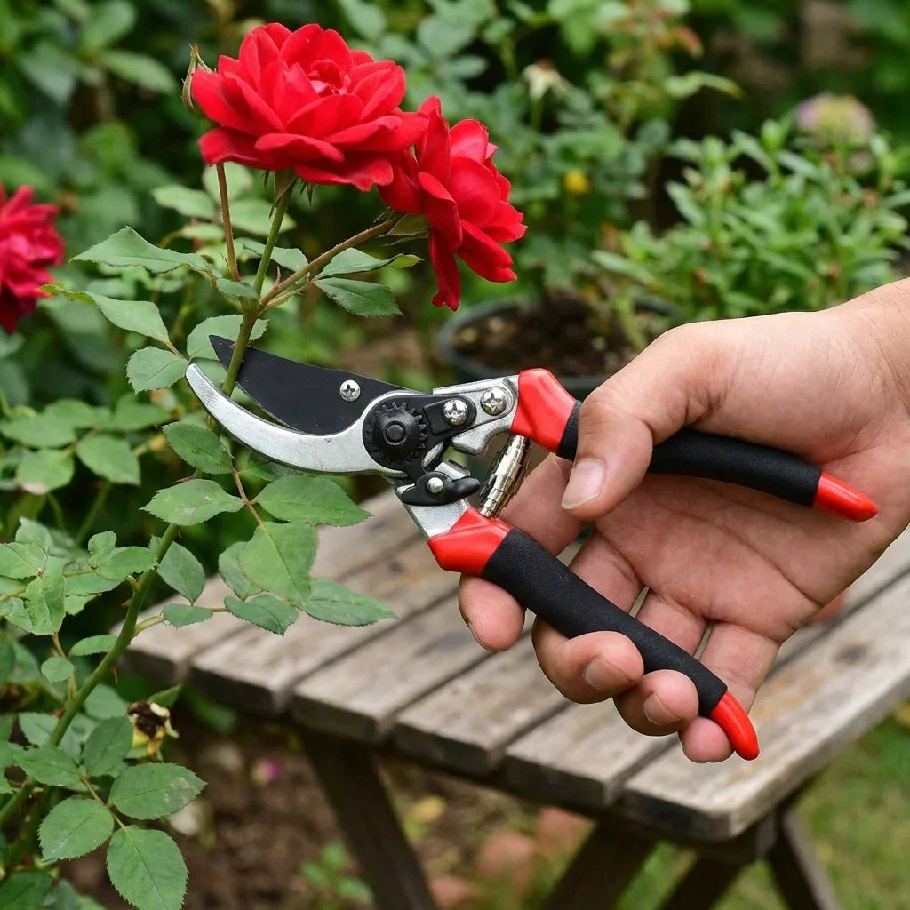Best sharp garden pruning shears - 2026 | fast shipping
