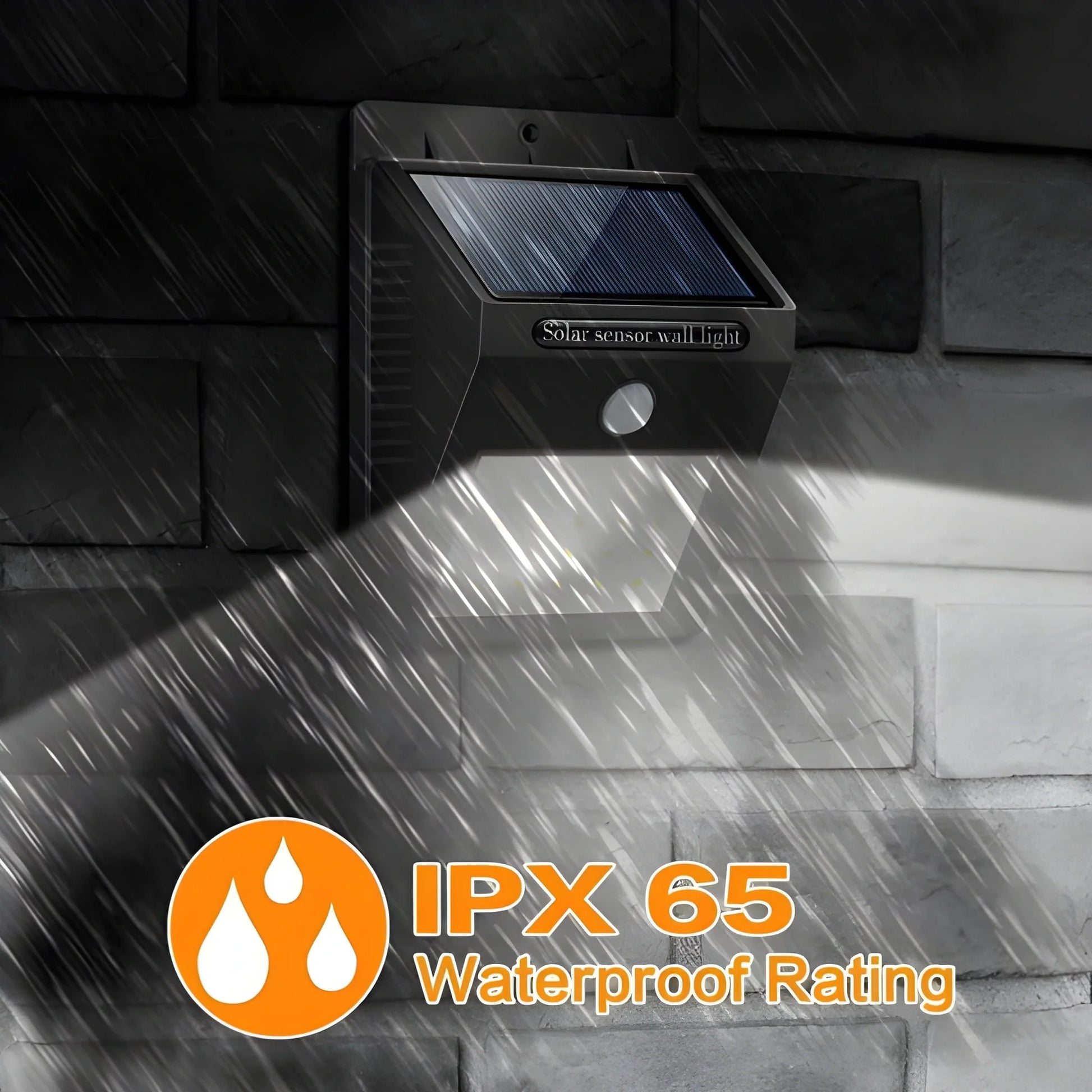 Solar Motion Sensor Light