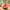 Best ss watermelon cutter slicer - kitchen slicers | 2026 | fast shipping