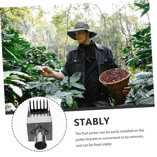 Stainless Fruit Picker garden & outdoor