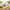 Best stainless steel lemon squeezer - juicer accessories | 2026 | fast shipping