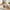 Best steel airtight containers - food storage | 2026 | fast shipping
