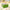 Best sturdy reusable party bags - gift | 2025 | fast shipping