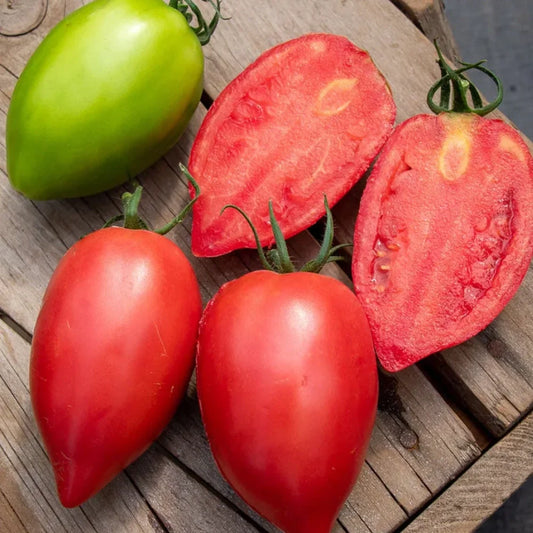 Sweet Mango Honey Tomatoes