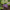Best tools for outdoor gardening - cultivators | 2026 | fast shipping