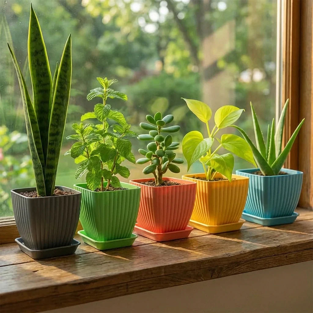 Best trendy square flower pots - 2026 | fast shipping