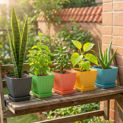 Best trendy square flower pots - 2026 | fast shipping