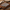 Best utility knife 12 pcs - chef’s knives | 2026 | fast shipping