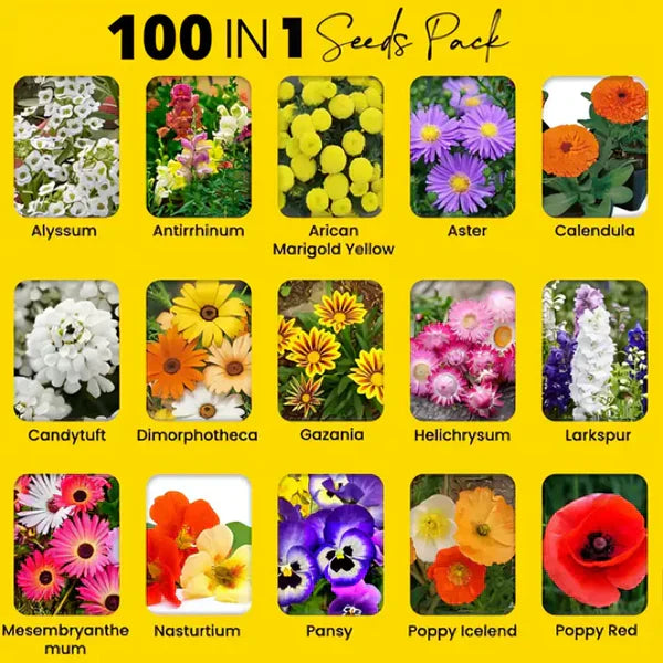 Varieties of Flower Seeds (Pack of 100)