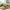 Best veg drill vegetable spiralizer - kitchen slicers | 2026 | fast shipping