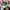 Vibrant Latex Party Balloons - Toys & Games