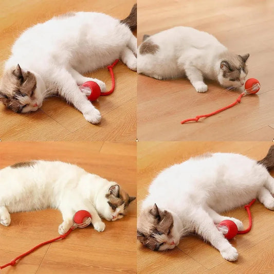 Viral Rolling Ball,Interactive Cat Ball Toy pet massager