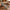 Best walnut cracker - plier nutcrackers | 2026 | fast shipping
