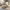 Best washing oval brush set - scrub brushes | 2026 | fast shipping
