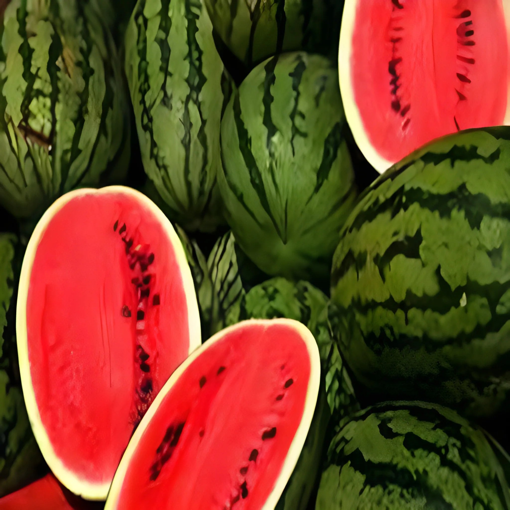 Mini Watermelon Growing Seeds