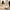 Best women hair styler machine - curling irons | 2026 | fast shipping