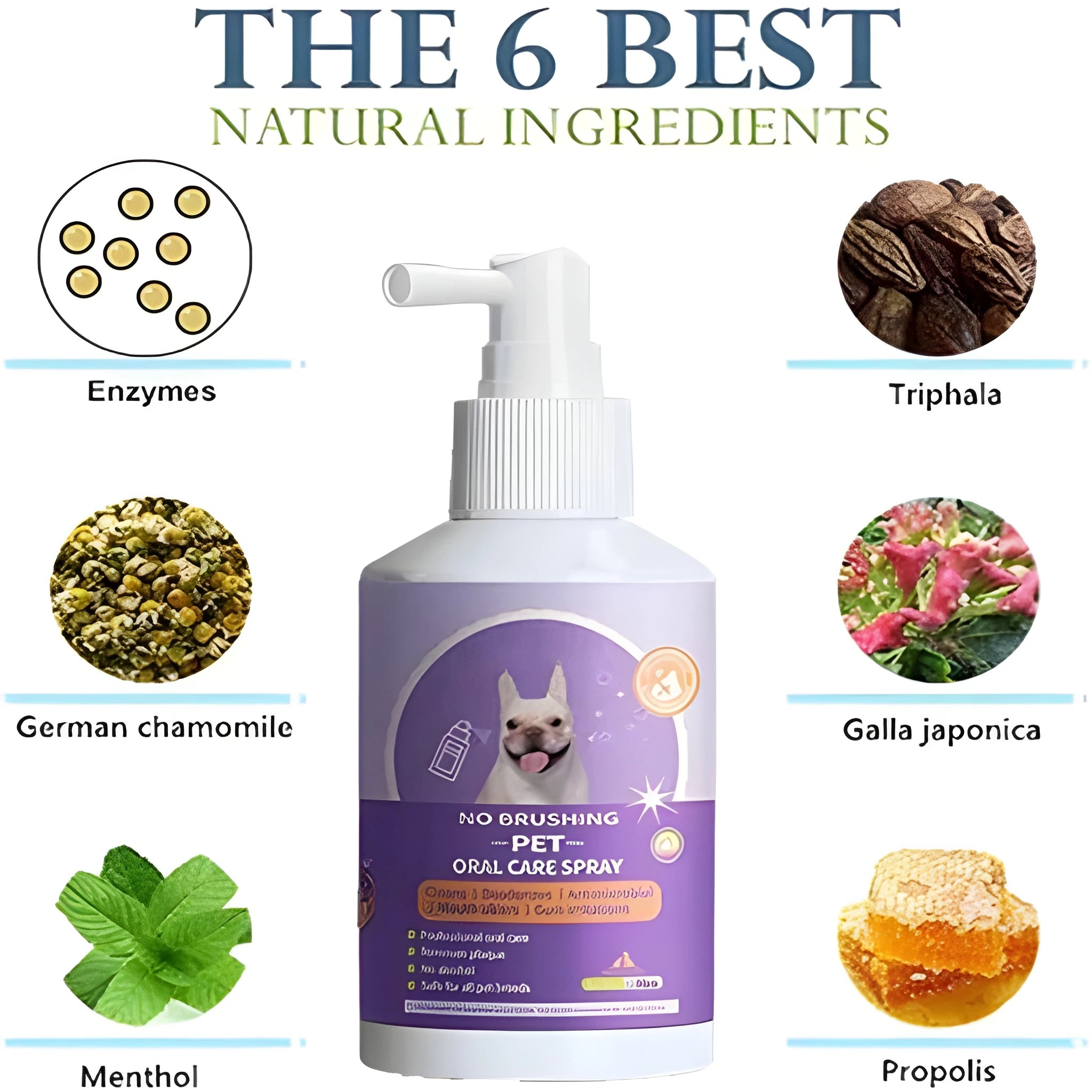 Pet Oral Care Spray