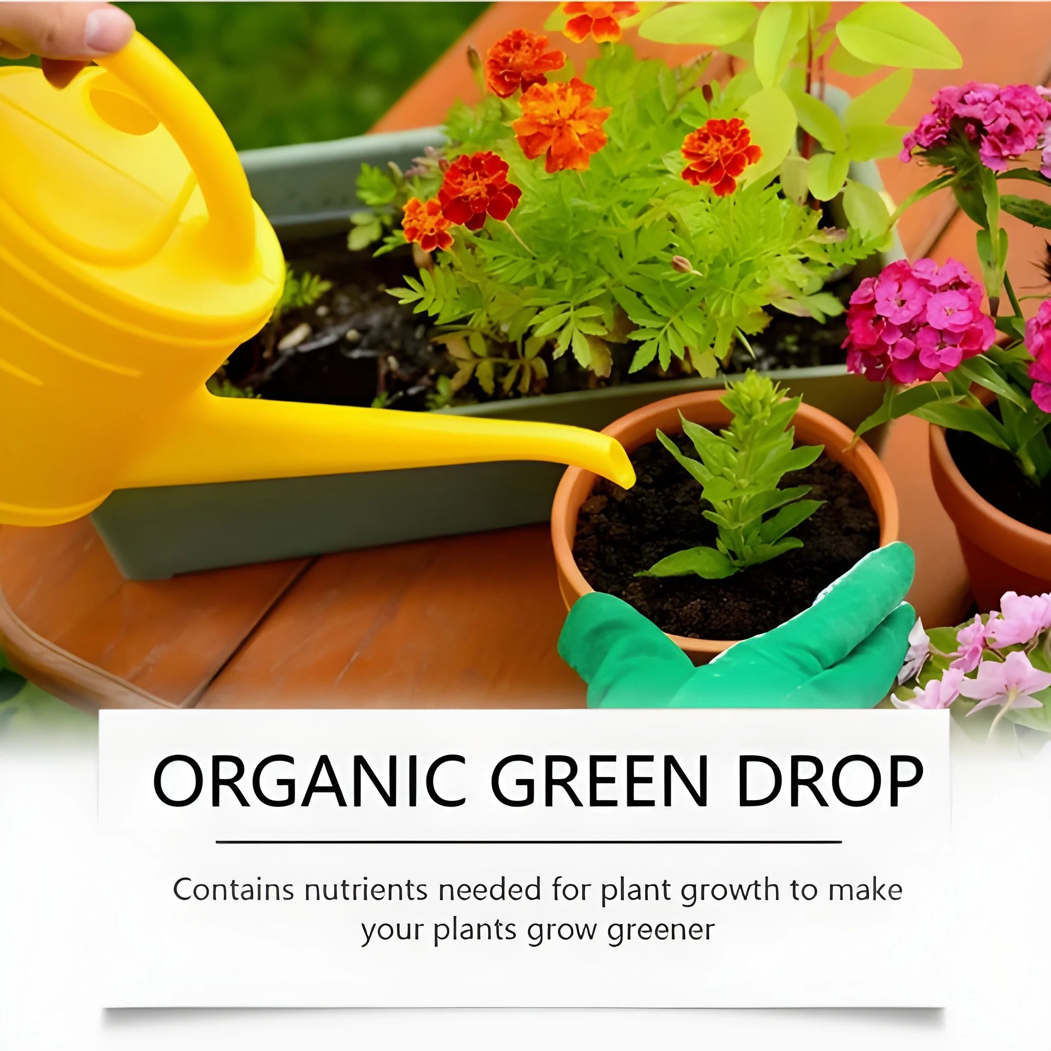 Organic GreenBoost Plant Fertilizer