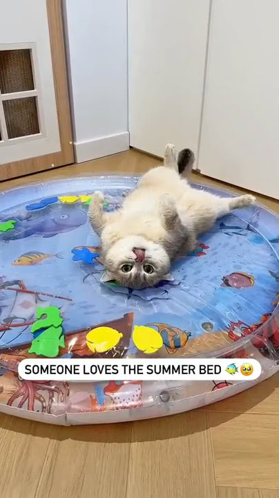 Pet Water Sensory Play Mat demonstration